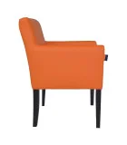 Armchair Austin, upholstery Fly 2218 order